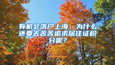 有机会落户上海，为什么还要去苦苦追求居住证积分呢？