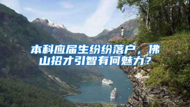 本科应届生纷纷落户，佛山招才引智有何魅力？