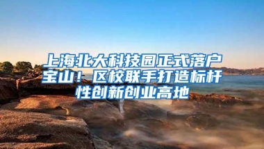 上海北大科技园正式落户宝山！区校联手打造标杆性创新创业高地