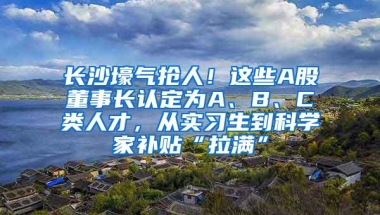 长沙壕气抢人！这些A股董事长认定为A、B、C类人才，从实习生到科学家补贴“拉满”