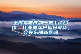 王传福与成都一把手谈合作，比亚迪落户指日可待，会在东部新区吗