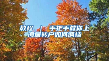 教程 ｜ 手把手教你上海居转户如何调档