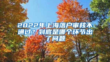 2022年上海落户审核不通过？到底是哪个环节出了问题