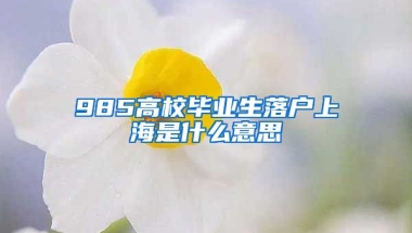 985高校毕业生落户上海是什么意思