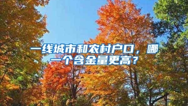 一线城市和农村户口，哪一个含金量更高？