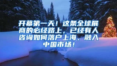 开幕第一天！这条全球展商的必经路上，已经有人咨询如何落户上海，融入中国市场！