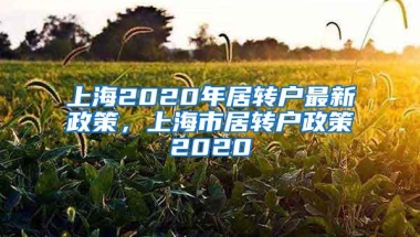 上海2020年居转户最新政策，上海市居转户政策2020