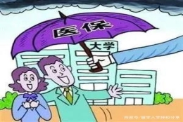 申老师积分落户，大学生医保怎么参加？是学校办理还是个人办理？