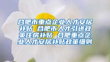 合肥市重点企业人才安居补贴 合肥市人才引进政策住房补贴 合肥重点企业人才安居补贴政策细则