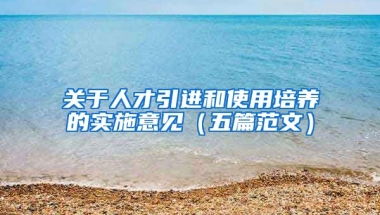 关于人才引进和使用培养的实施意见（五篇范文）