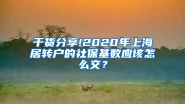 干货分享!2020年上海居转户的社保基数应该怎么交？