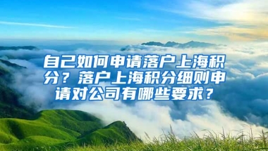 自己如何申请落户上海积分？落户上海积分细则申请对公司有哪些要求？