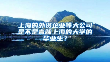 上海的外资企业等大公司是不是青睐上海的大学的毕业生？