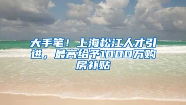 大手笔！上海松江人才引进，最高给予1000万购房补贴