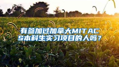 有参加过加拿大MITACS本科生实习项目的人吗？