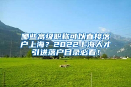 哪些高级职称可以直接落户上海？2022上海人才引进落户目录必看！