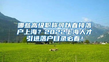 哪些高级职称可以直接落户上海？2022上海人才引进落户目录必看！