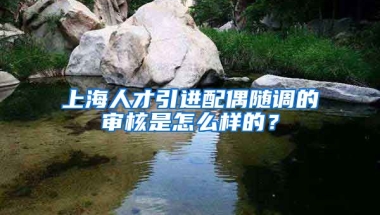 上海人才引进配偶随调的审核是怎么样的？