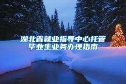 湖北省就业指导中心托管毕业生业务办理指南