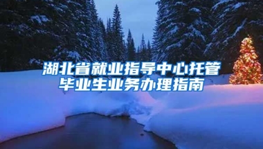 湖北省就业指导中心托管毕业生业务办理指南