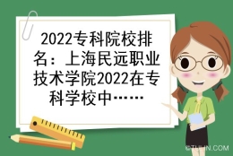 2022专科院校排名：上海民远职业技术学院2022在专科学校中排名第几？