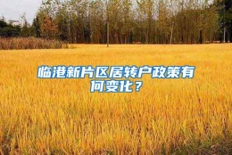 临港新片区居转户政策有何变化？