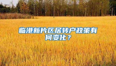 临港新片区居转户政策有何变化？