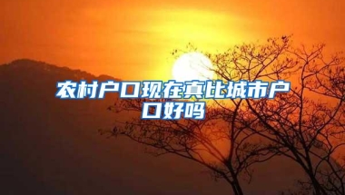 农村户口现在真比城市户口好吗