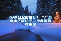 6月1日全面推行！“广东省电子居住证”这些渠道可申领