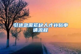 引进急需紧缺人才补贴申请流程