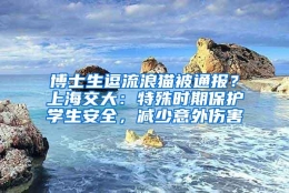 博士生逗流浪猫被通报？上海交大：特殊时期保护学生安全，减少意外伤害