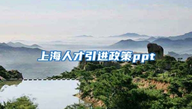 上海人才引进政策ppt