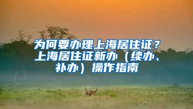 为何要办理上海居住证？上海居住证新办（续办、补办）操作指南