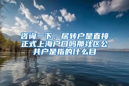 咨询一下，居转户是直接正式上海户口吗那社区公共户是指的什么目