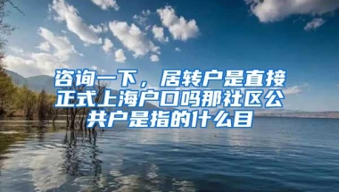 咨询一下，居转户是直接正式上海户口吗那社区公共户是指的什么目