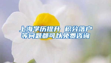 上海学历提升 积分落户等问题都可以免费咨询