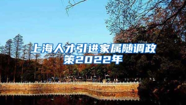 上海人才引进家属随调政策2022年