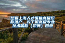 想要上海人才引进高级职称落户，先了解高级专业技术职称（职务）目录