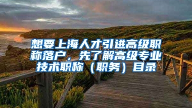 想要上海人才引进高级职称落户，先了解高级专业技术职称（职务）目录