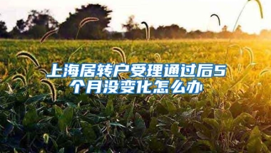 上海居转户受理通过后5个月没变化怎么办