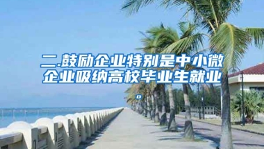 二.鼓励企业特别是中小微企业吸纳高校毕业生就业 。