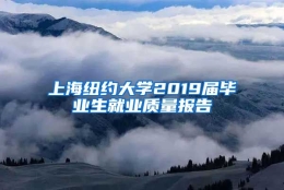 上海纽约大学2019届毕业生就业质量报告