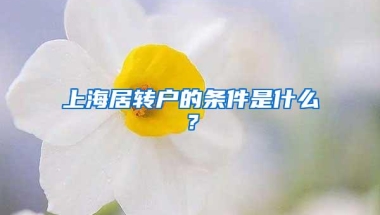 上海居转户的条件是什么？