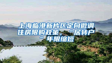 上海临港新片区定向微调住房限购政策，“居转户”年限缩短