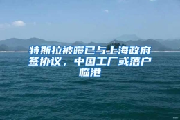 特斯拉被曝已与上海政府签协议，中国工厂或落户临港