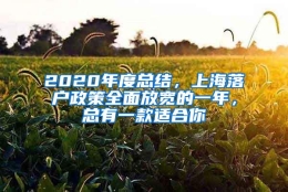 2020年度总结，上海落户政策全面放宽的一年，总有一款适合你