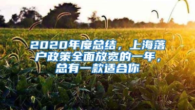 2020年度总结，上海落户政策全面放宽的一年，总有一款适合你