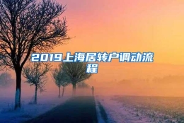 2019上海居转户调动流程