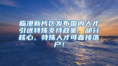 临港新片区发布国内人才引进特殊支持政策，部分核心、特殊人才可直接落户！