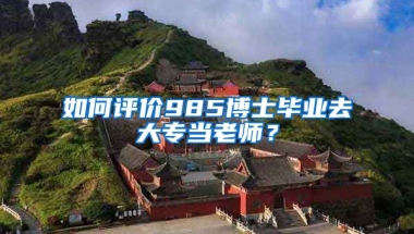 如何评价985博士毕业去大专当老师？